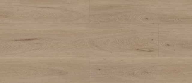 Door preview