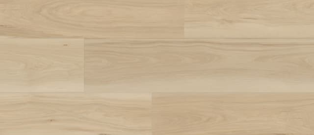 Door preview