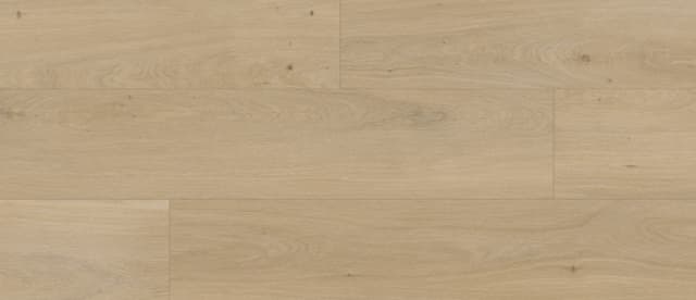 Door preview
